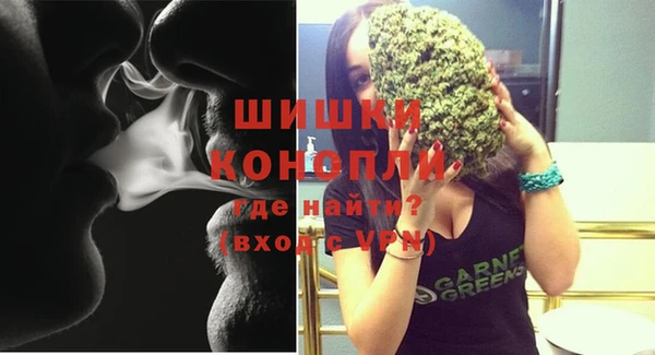 стаф Нея