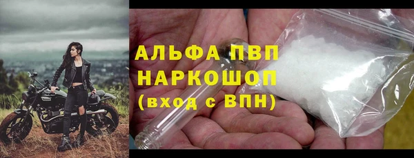 стаф Нея