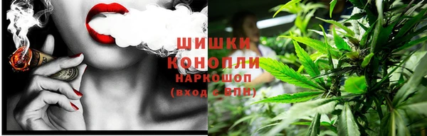 стаф Нея