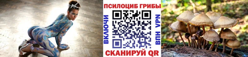 Псилоцибиновые грибы Psilocybe  хочу   Краснообск 